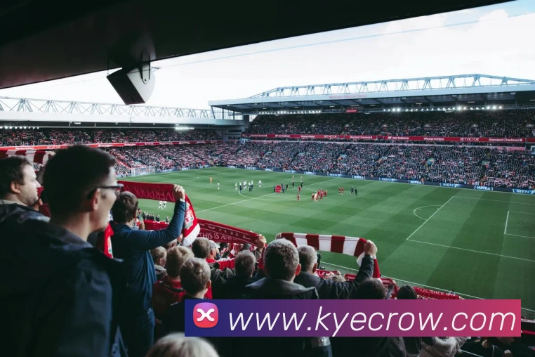 平台展示图